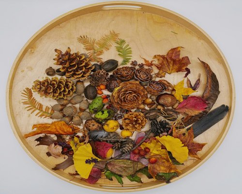 Top view of a balanced plate with colorful vegetables, fish, and nuts on a wooden table