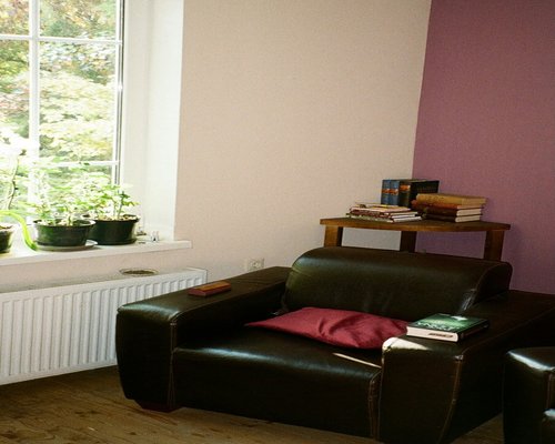 A peaceful person meditating calmly with closed eyes in a sunlit living room with green plants